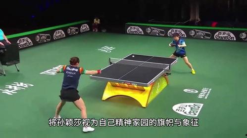 体育圈粉丝,激情燃烧的岁月，热血沸腾的追随